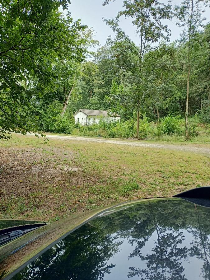 Deux Etangs Poissonneux Au Milieu Des Bois Avec Gite Moderne, La Halte Des Deux Lacs Rosée Exterior foto