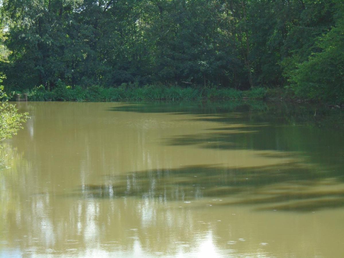 Deux Etangs Poissonneux Au Milieu Des Bois Avec Gite Moderne, La Halte Des Deux Lacs Rosée Exterior foto