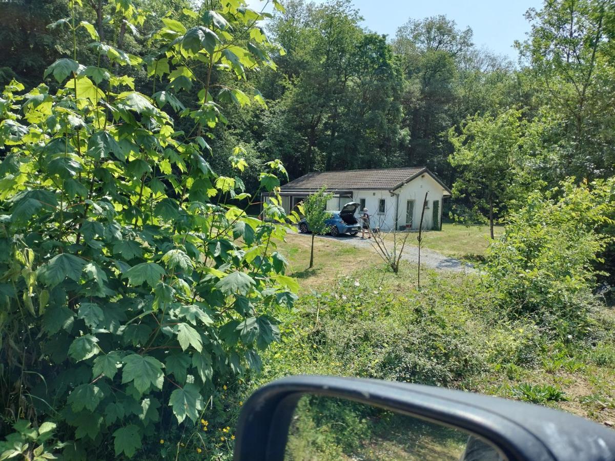 Deux Etangs Poissonneux Au Milieu Des Bois Avec Gite Moderne, La Halte Des Deux Lacs Rosée Exterior foto