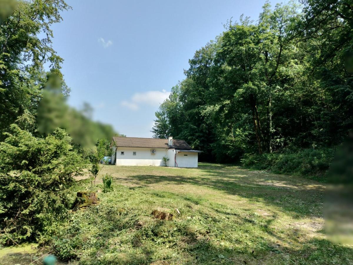 Deux Etangs Poissonneux Au Milieu Des Bois Avec Gite Moderne, La Halte Des Deux Lacs Rosée Exterior foto