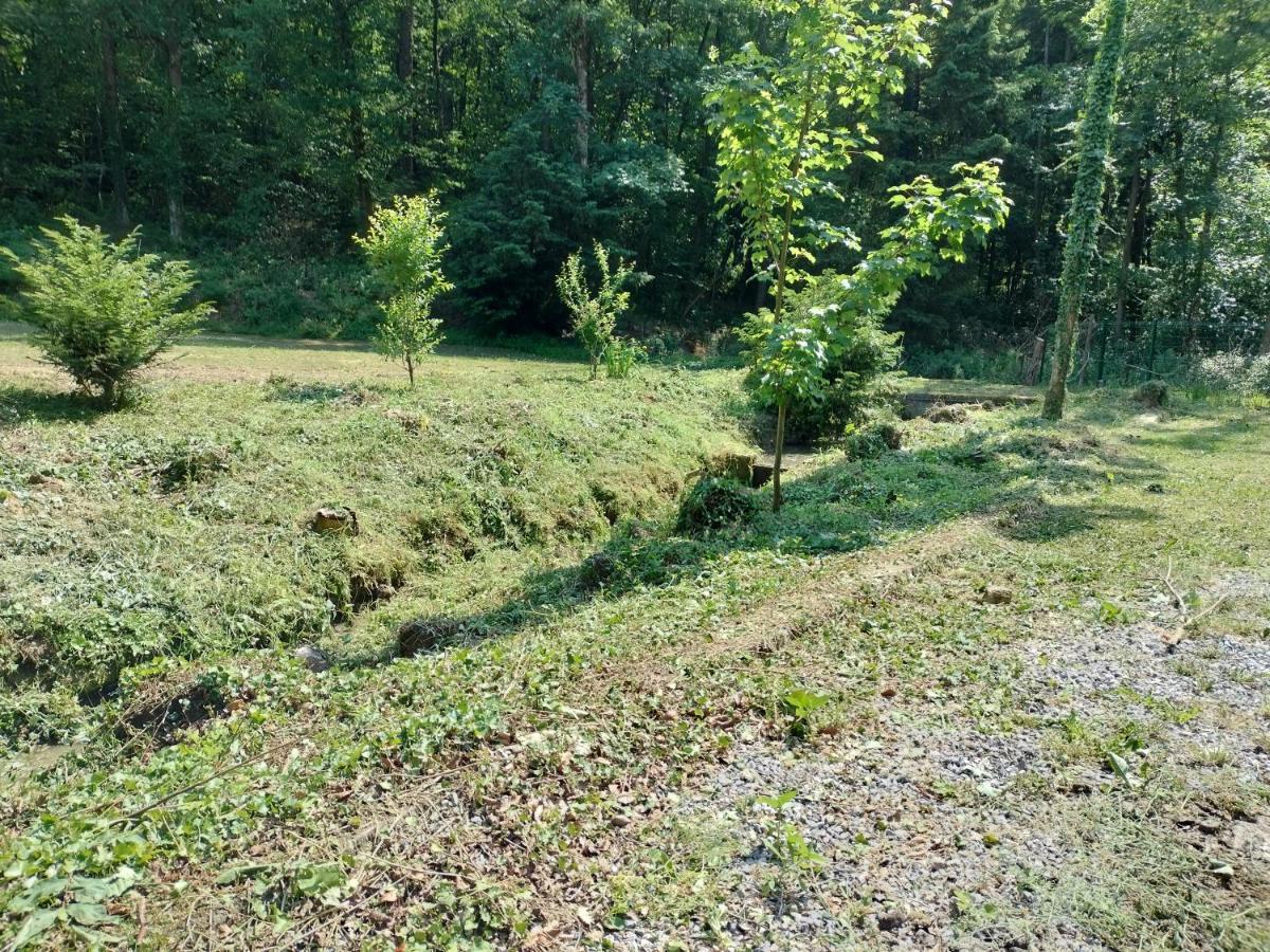 Deux Etangs Poissonneux Au Milieu Des Bois Avec Gite Moderne, La Halte Des Deux Lacs Rosée Exterior foto