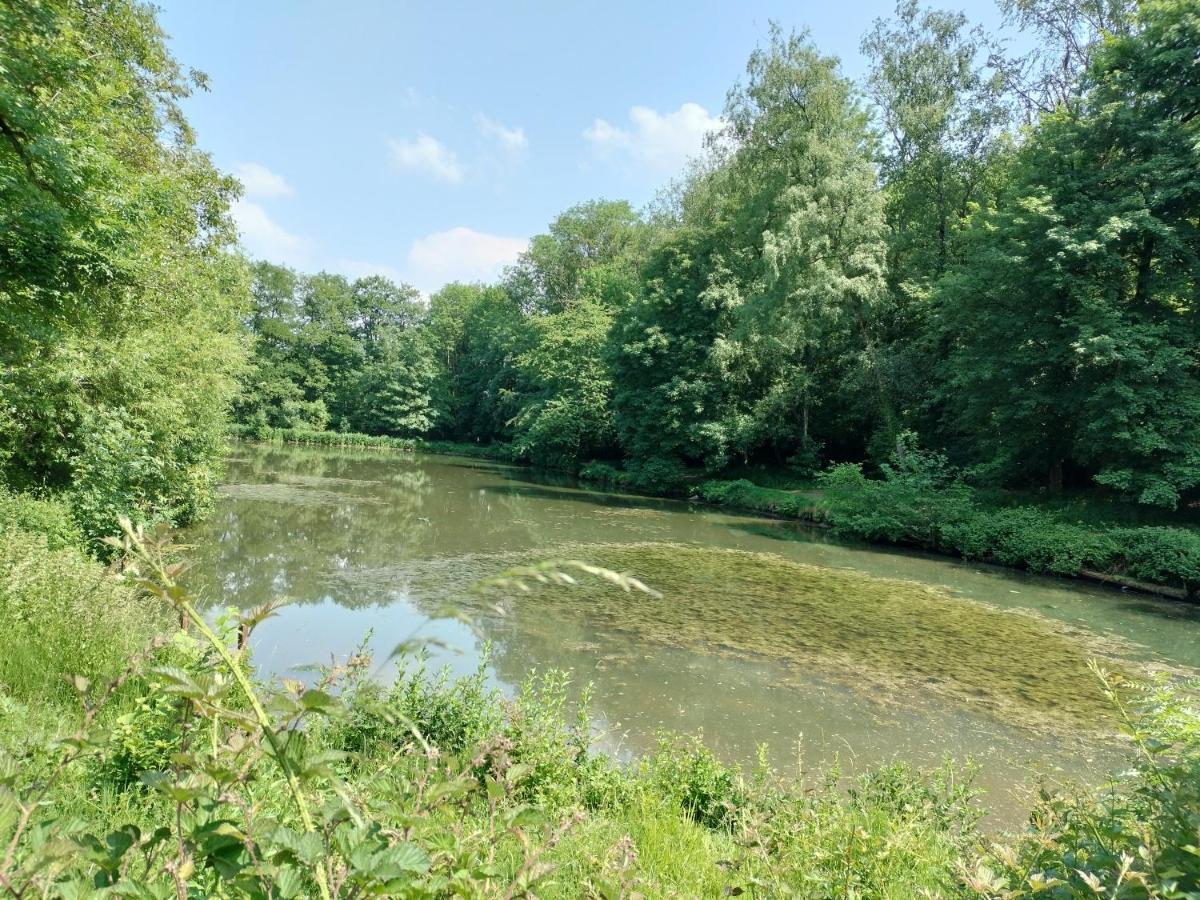 Deux Etangs Poissonneux Au Milieu Des Bois Avec Gite Moderne, La Halte Des Deux Lacs Rosée Exterior foto